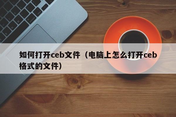 如何打开ceb文件（电脑上怎么打开ceb格式的文件）