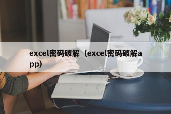 excel密码破解（excel密码破解app）