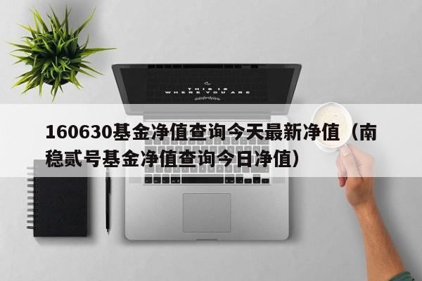 160630基金净值查询今天最新净值（南稳贰号基金净值查询今日净值）