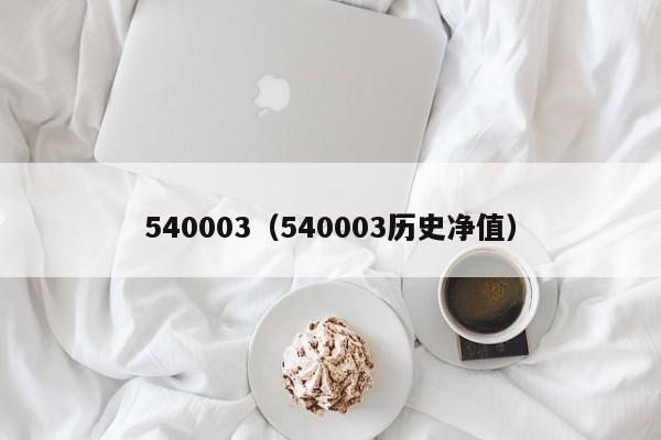 540003（540003历史净值）