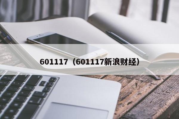 601117（601117新浪财经）